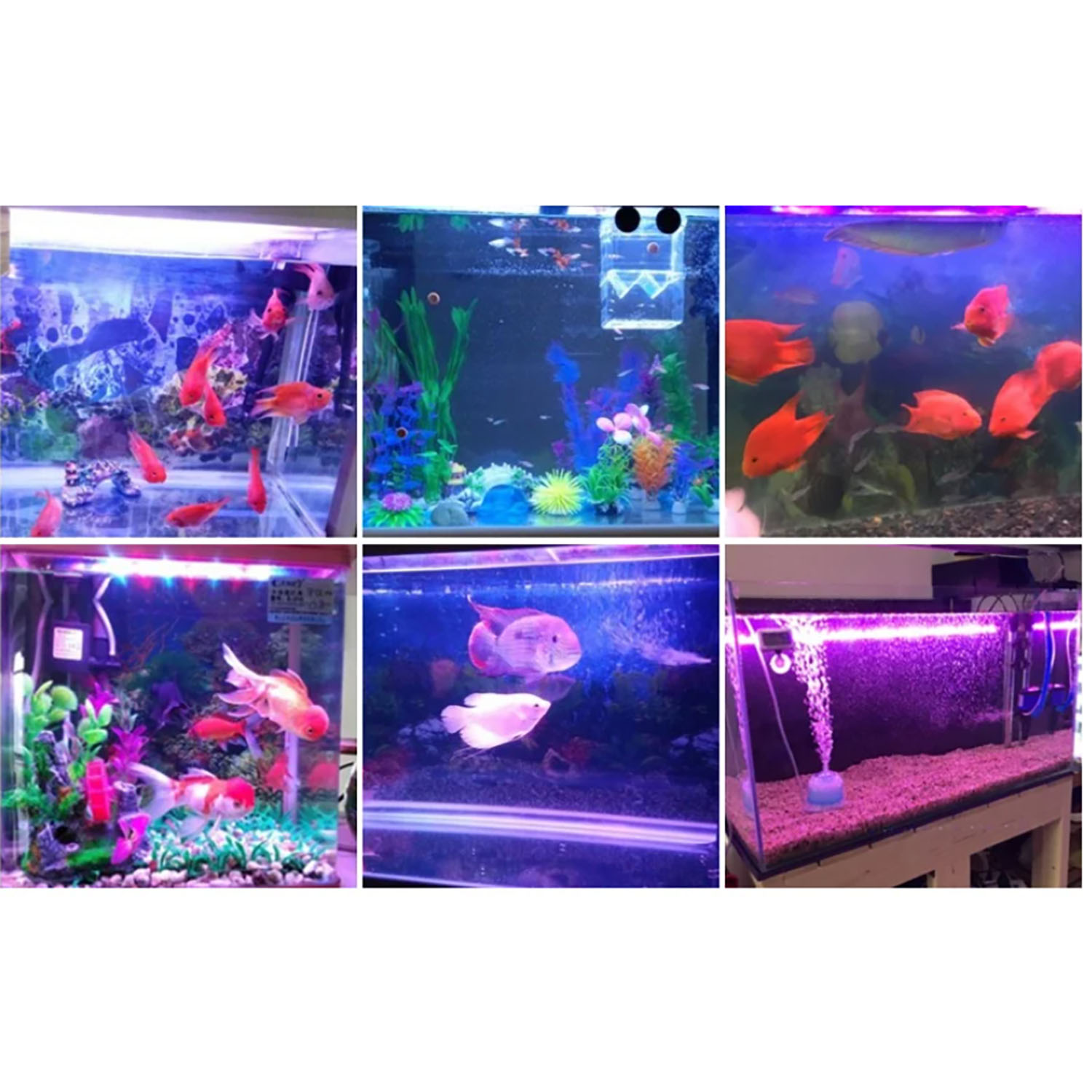 Aquarium Marine Blue - Светодиодное освещение для аквариумов 50W 60W